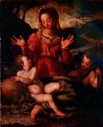 Andrea del Sarto Madonna and Child with St oil painting on canvas